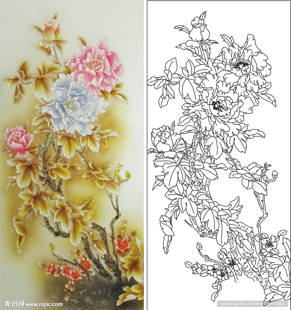 牡丹花