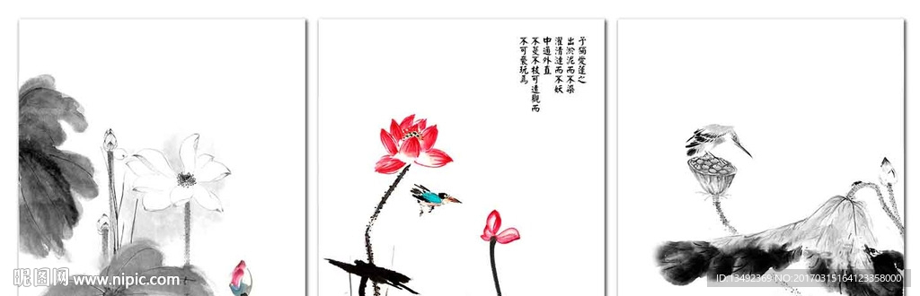国画荷花