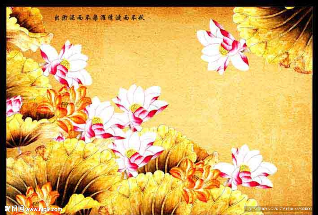 金色荷花