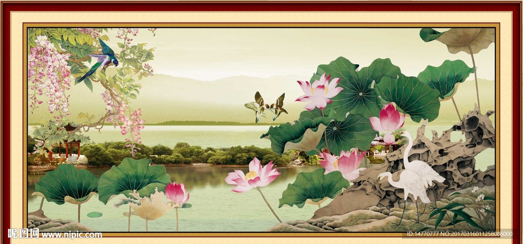 荷花风景