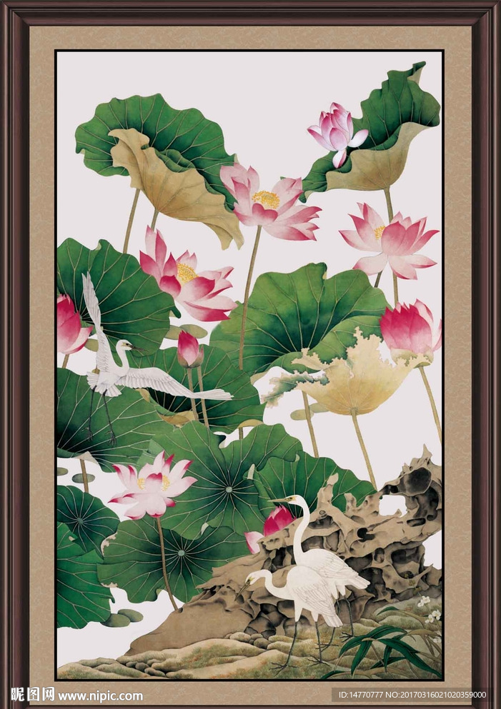 荷花图
