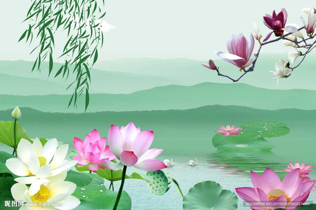 荷花背景墙