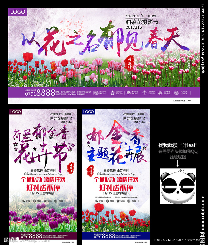 郁金香