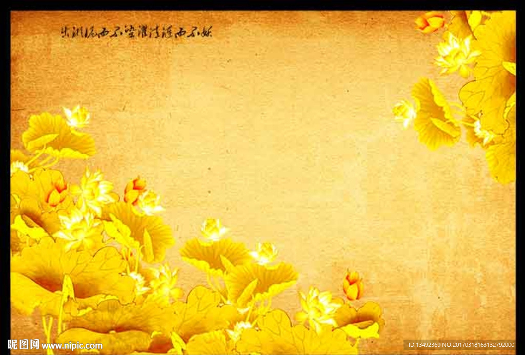 荷花图