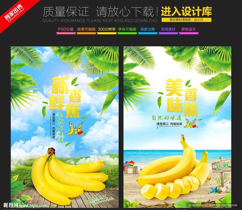 香蕉海报 香蕉展板
