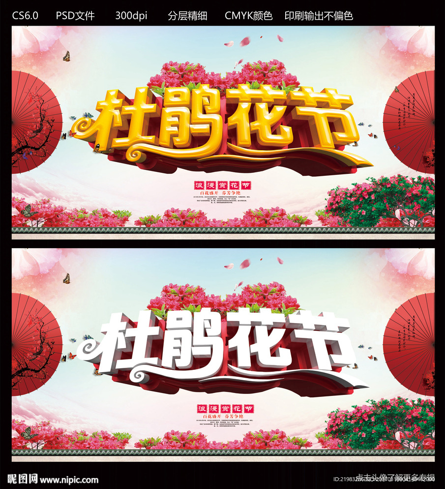 杜鹃花