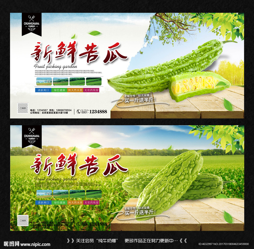 苦瓜