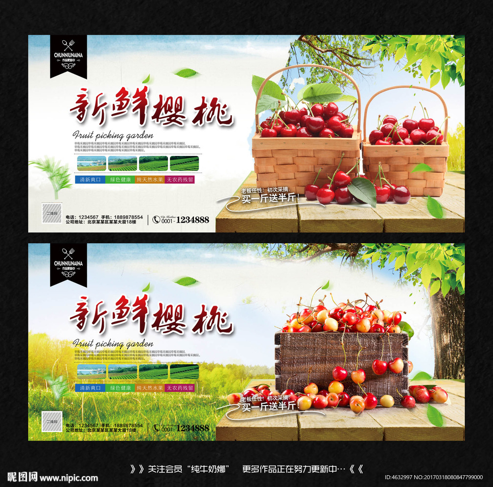樱桃