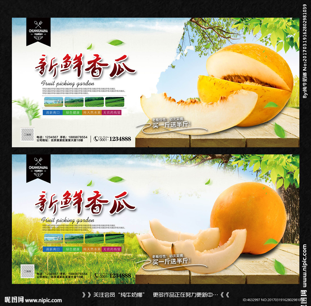 黄金瓜