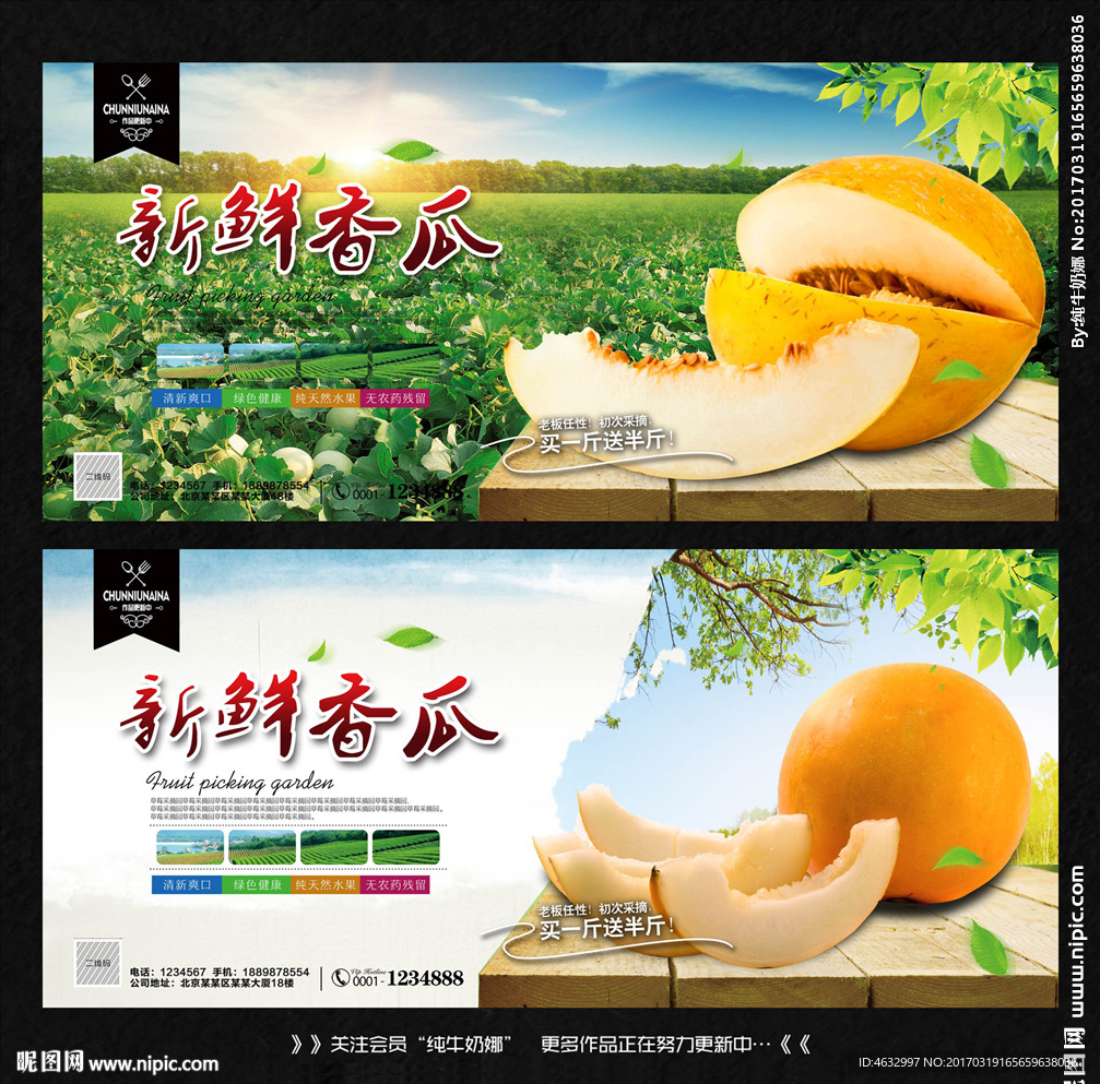黄金瓜