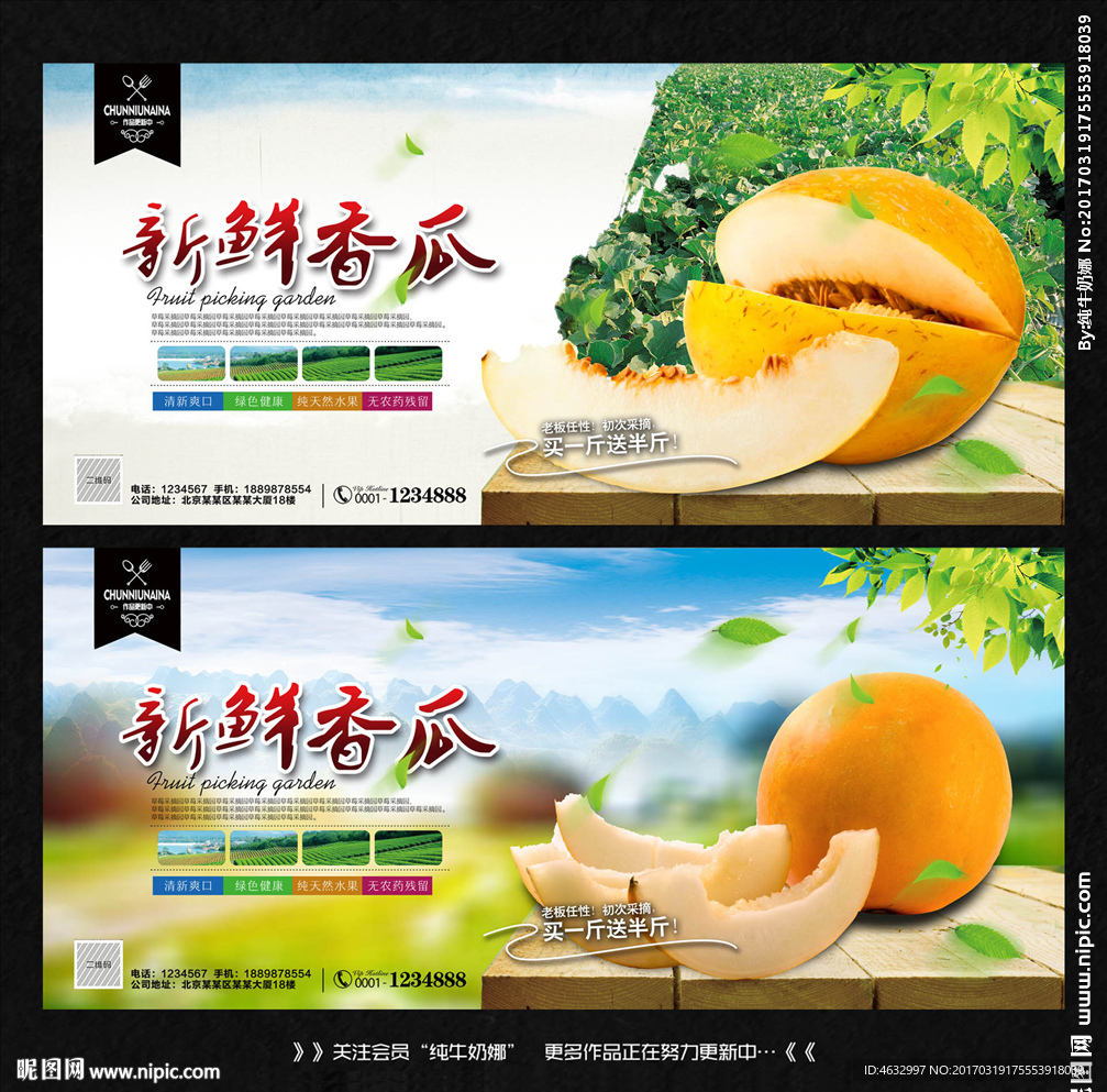 黄金瓜
