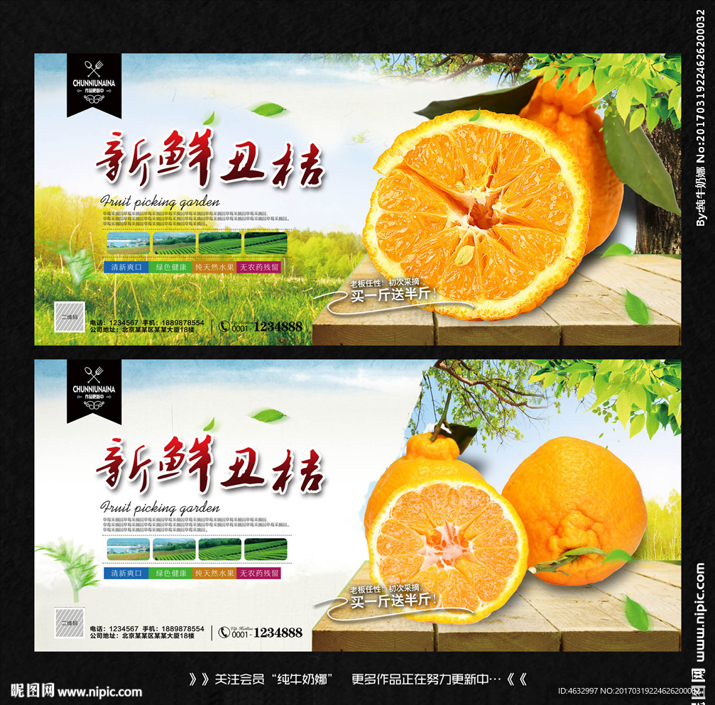 丑桔