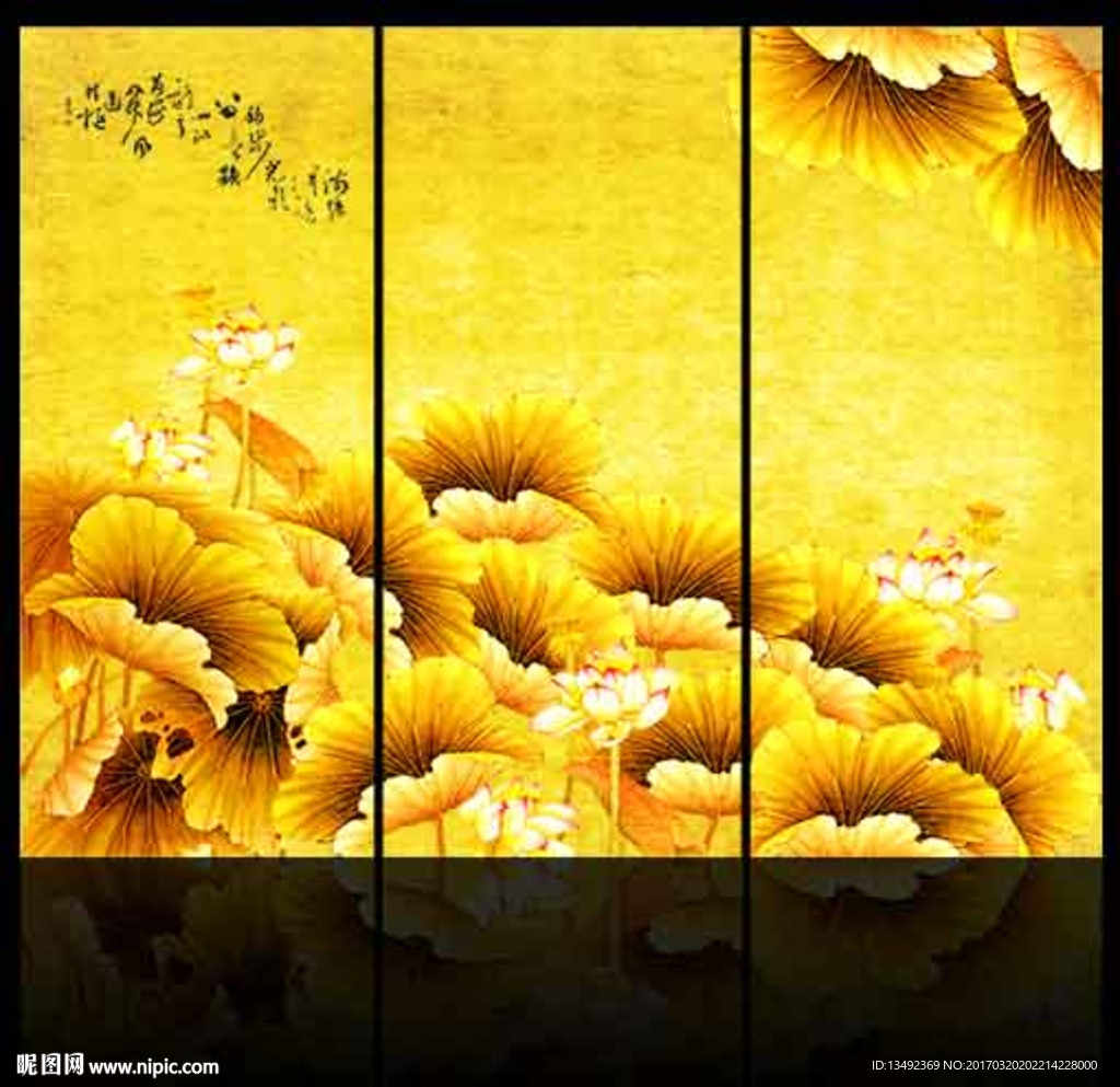 金色荷花
