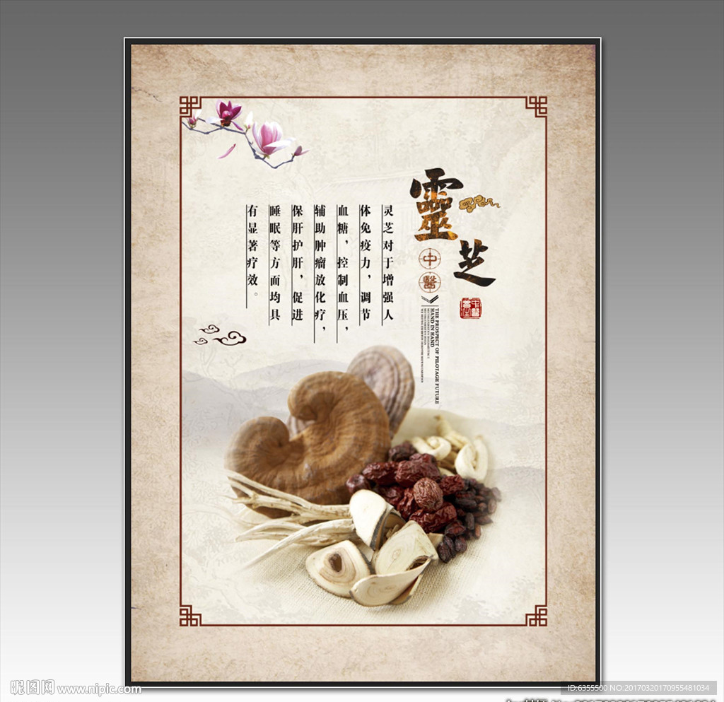中药展板