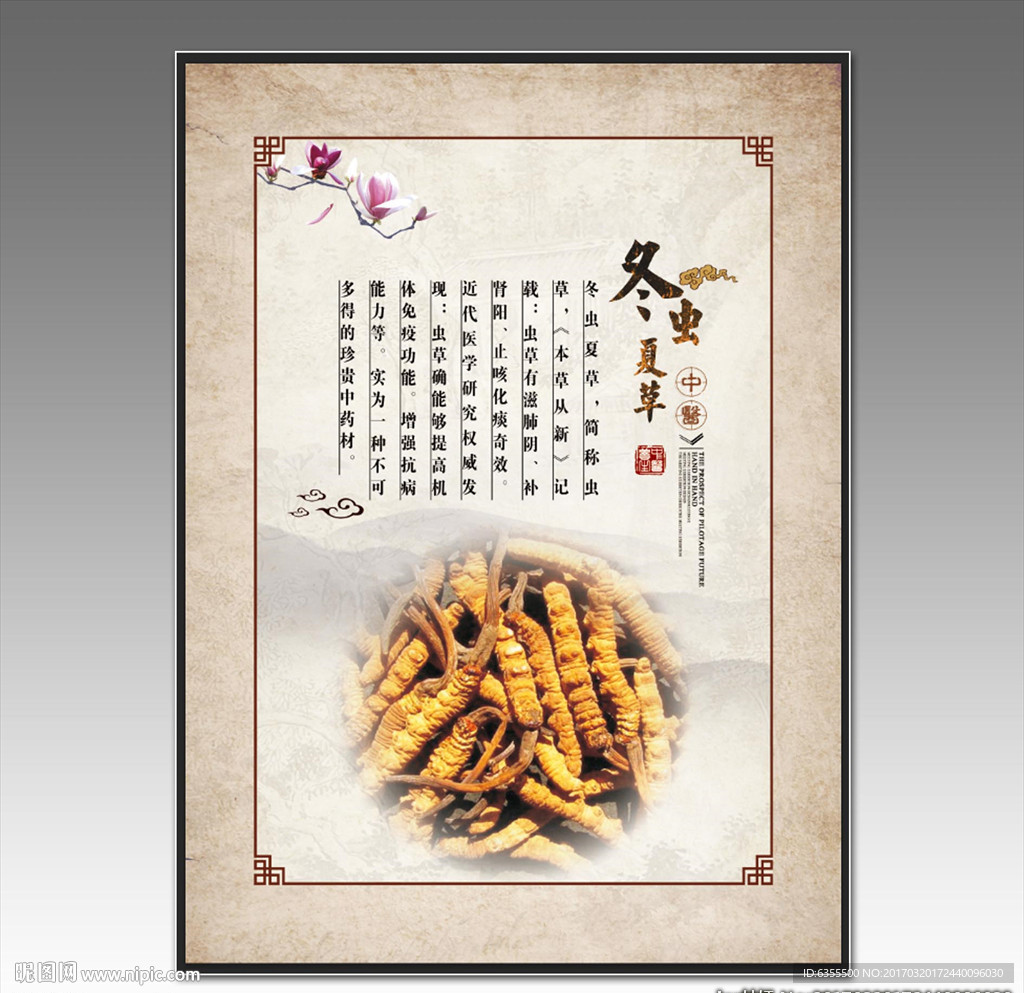 中药展板