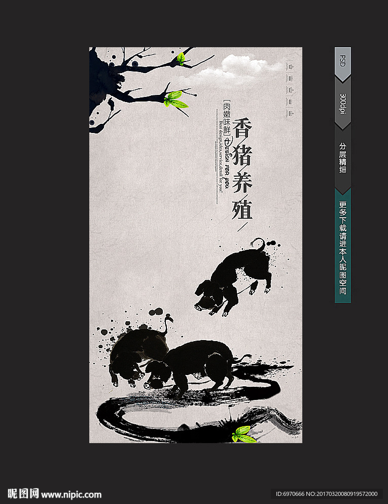 香猪