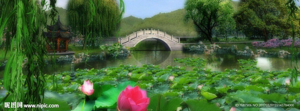 荷花池