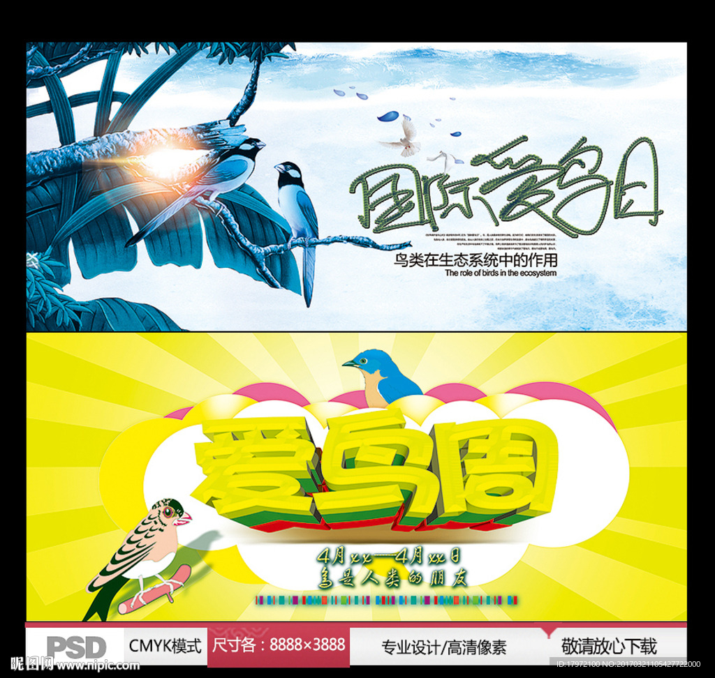 国际爱鸟日 爱鸟周