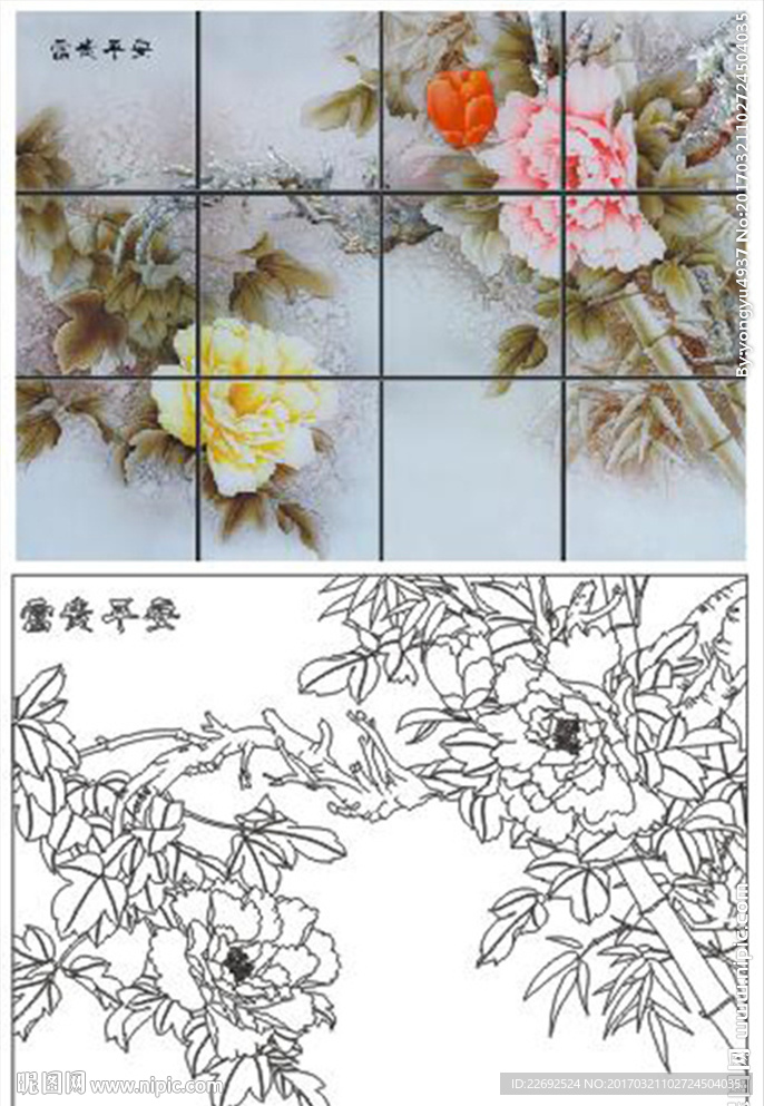 牡丹