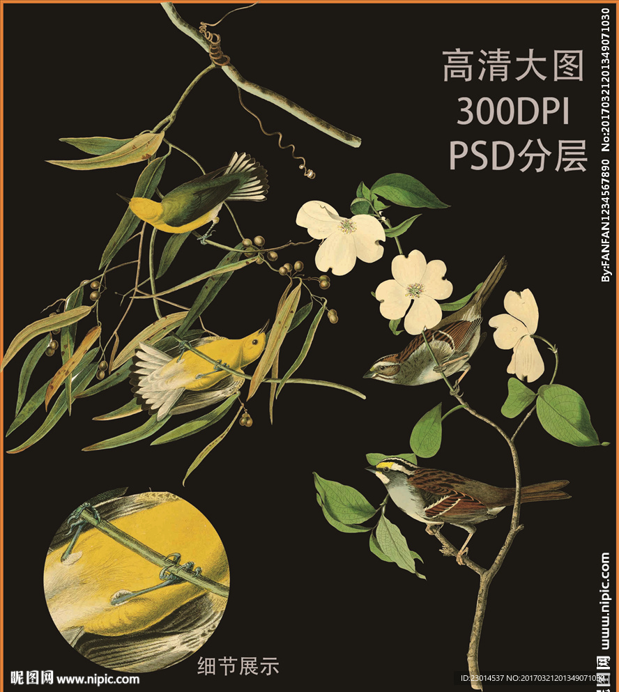 花鸟