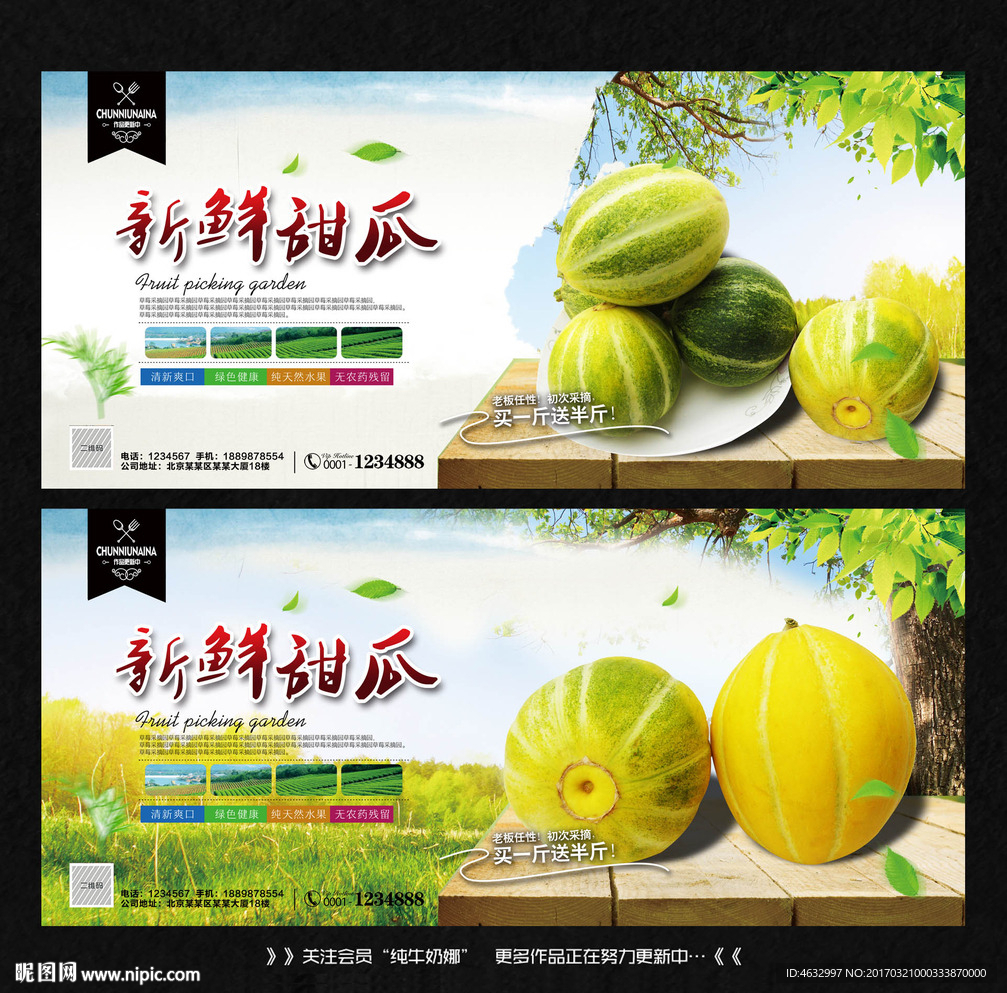 花皮甜瓜