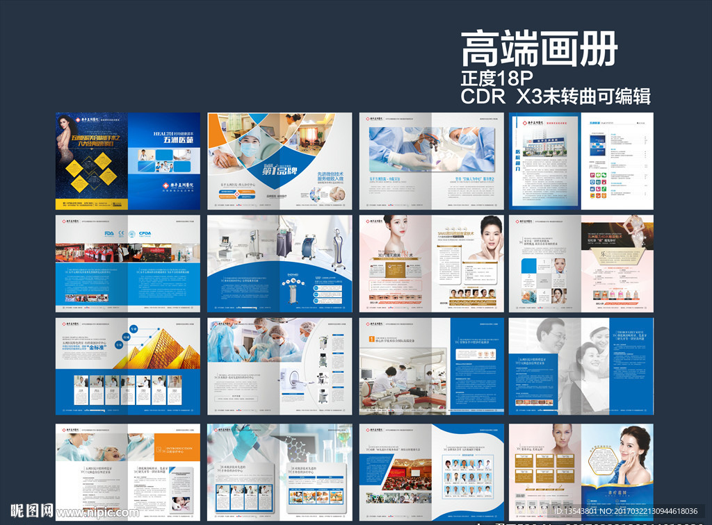 高端美容综合画册