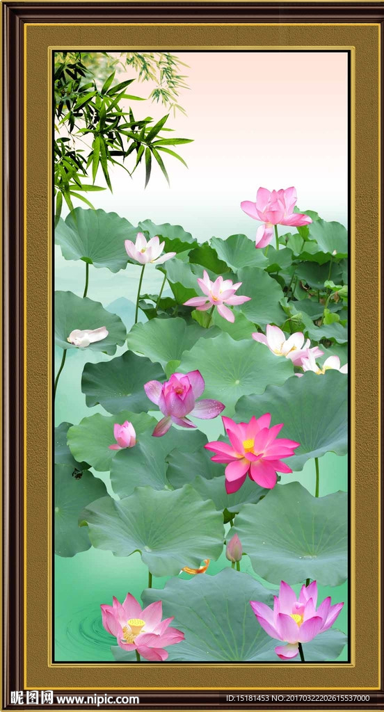 荷花图