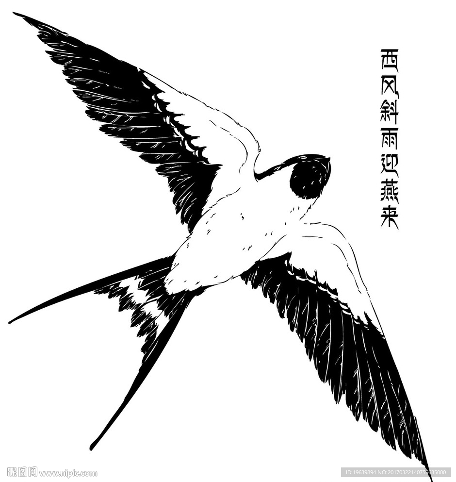燕子
