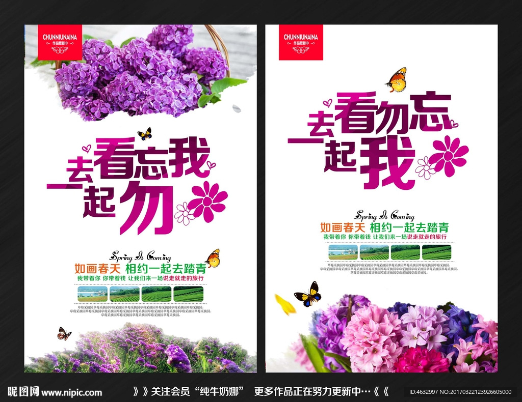 勿忘我