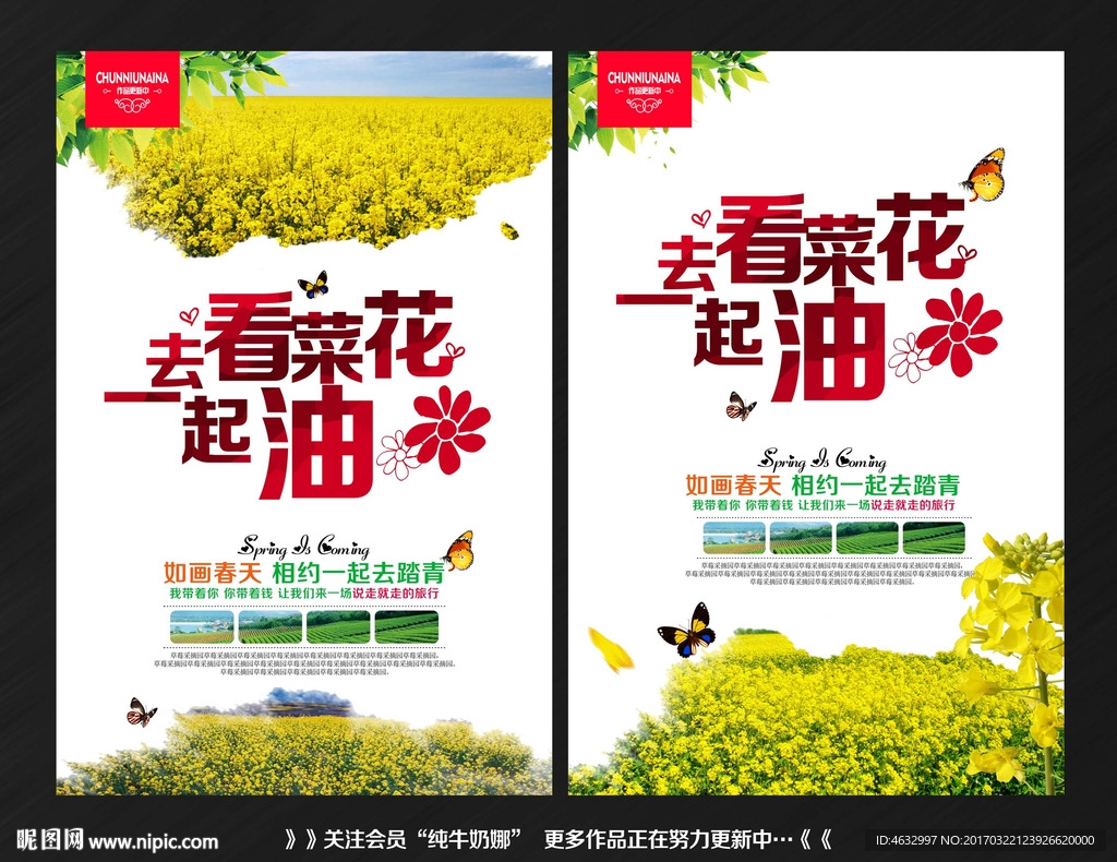 油菜花