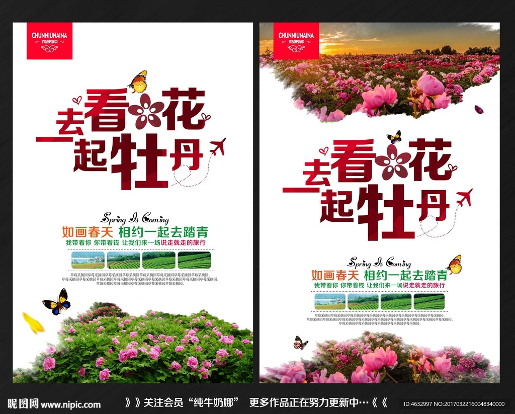 牡丹