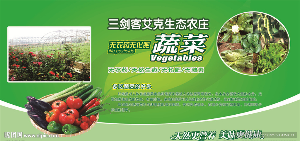 有机蔬菜展板