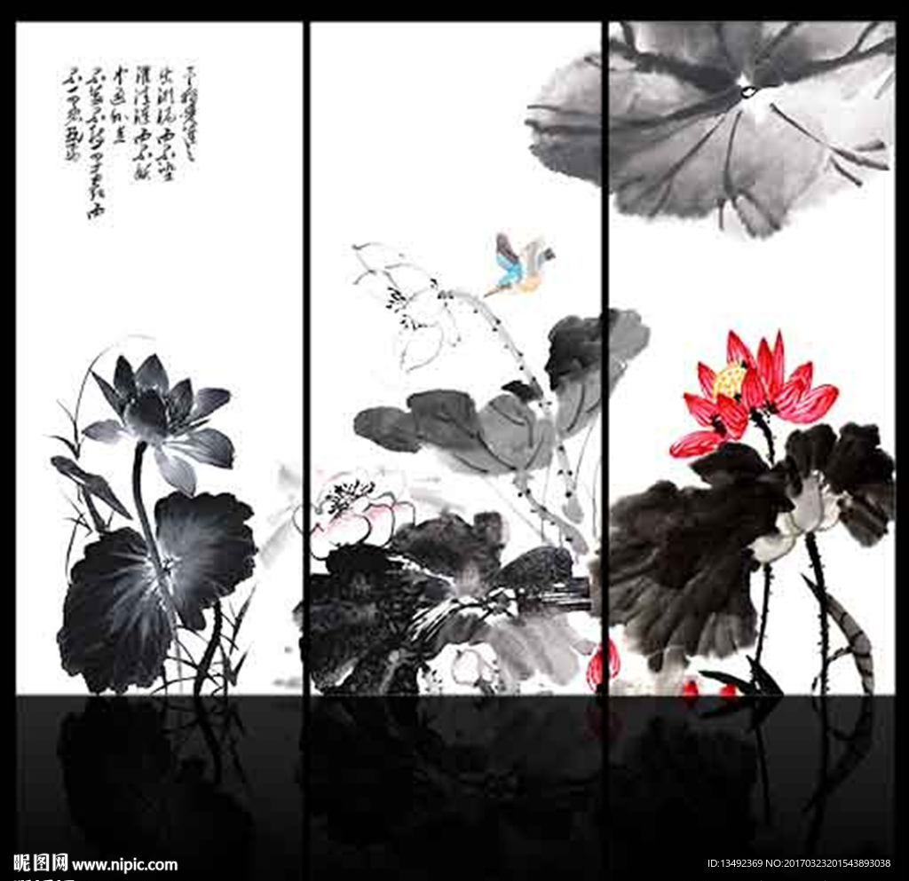 黑白荷花