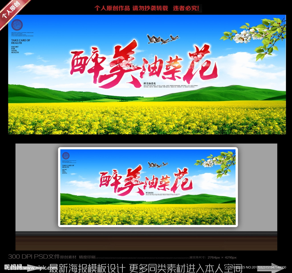 油菜花
