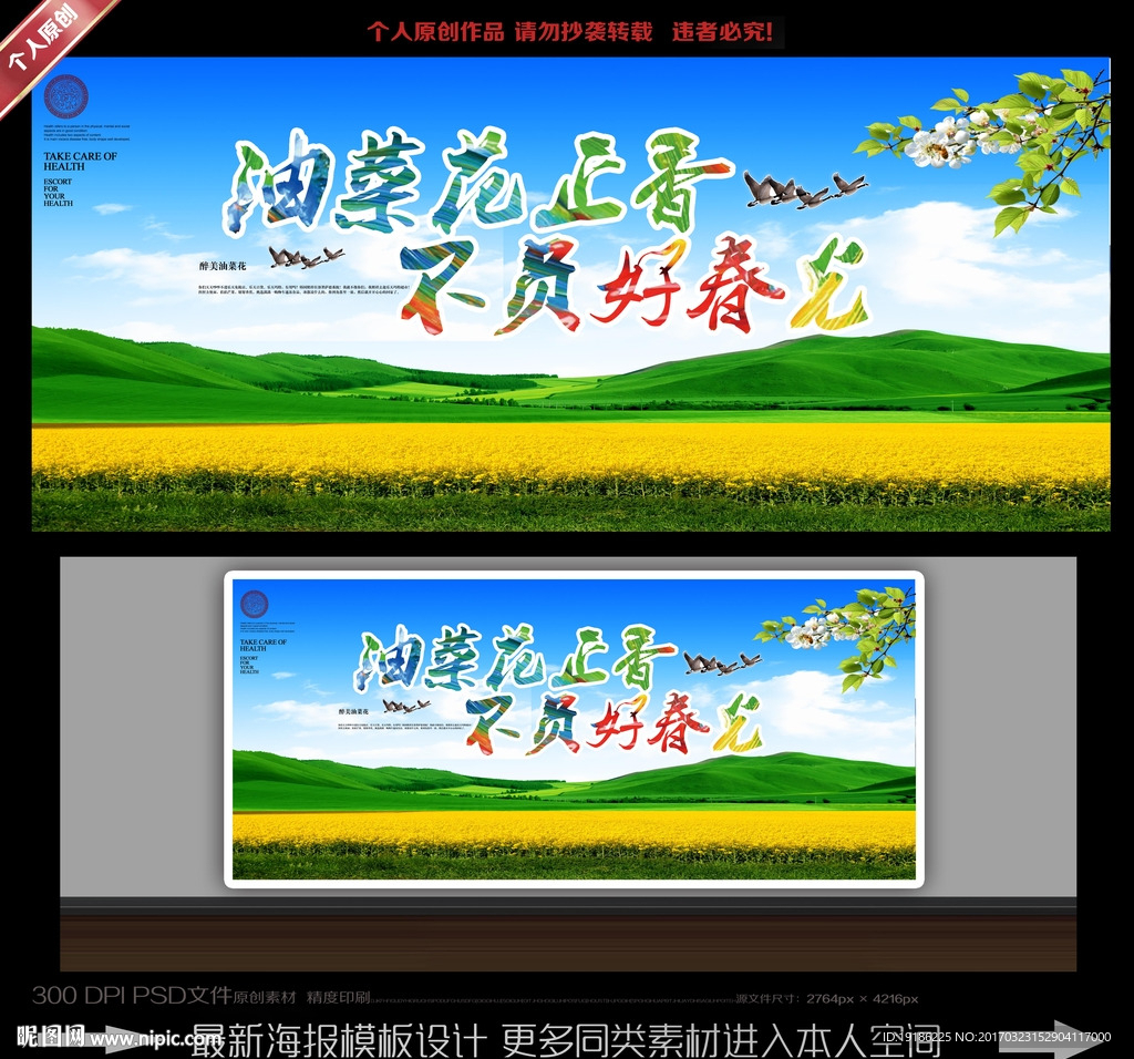 油菜花