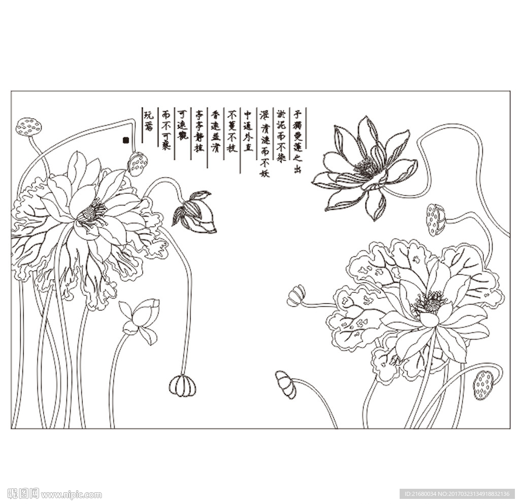 荷花