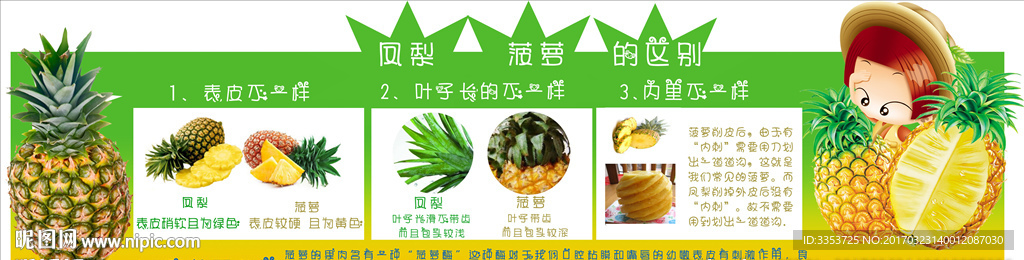 凤梨与菠萝区别
