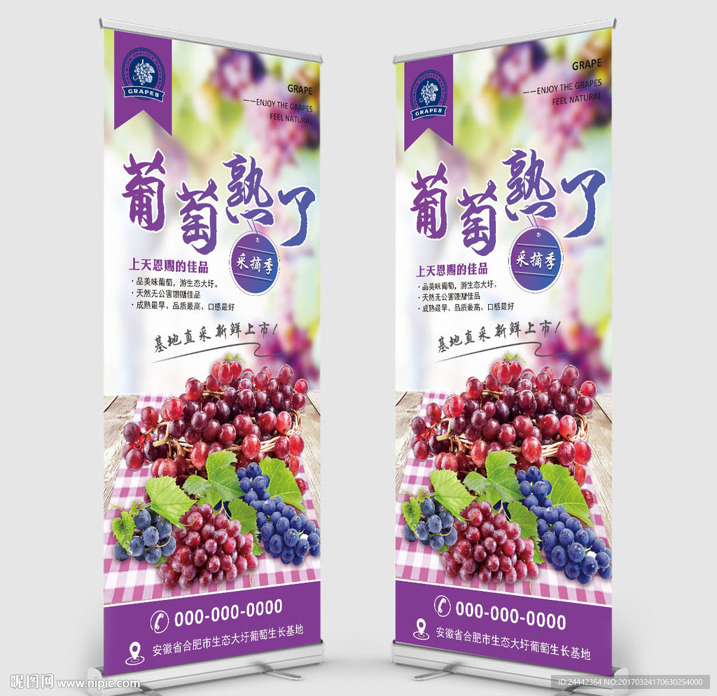 葡萄熟了宣传展架易拉宝