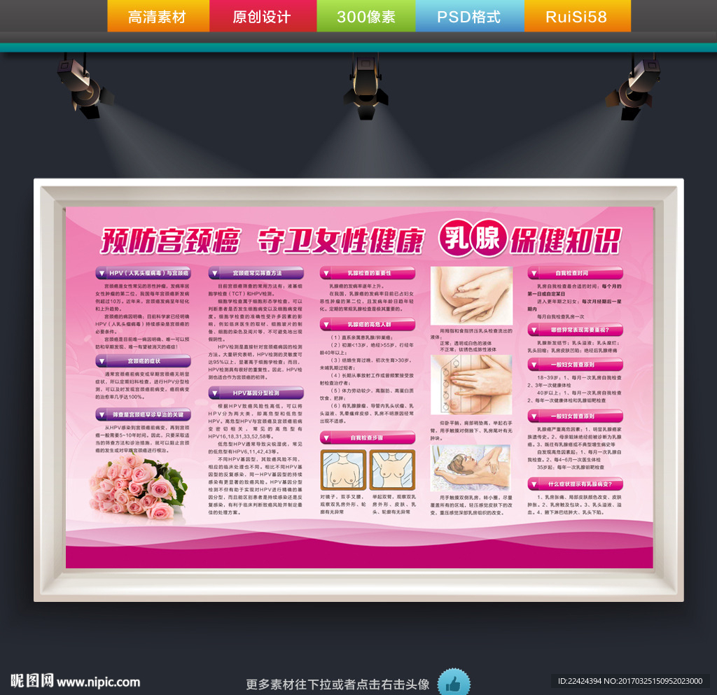 宫颈癌 乳腺癌