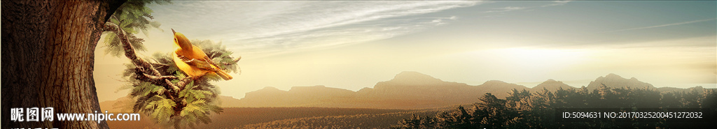 山林中的鸟叫国画风