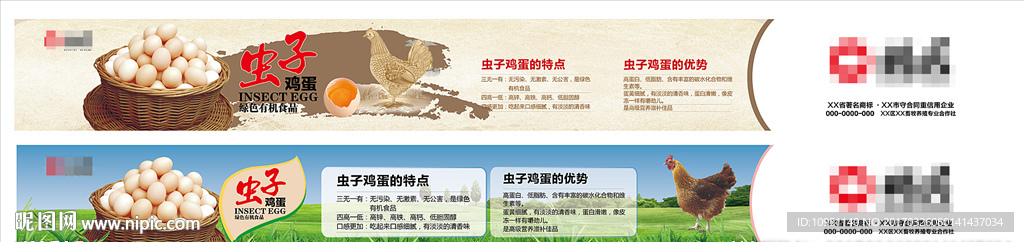 虫子鸡蛋广告