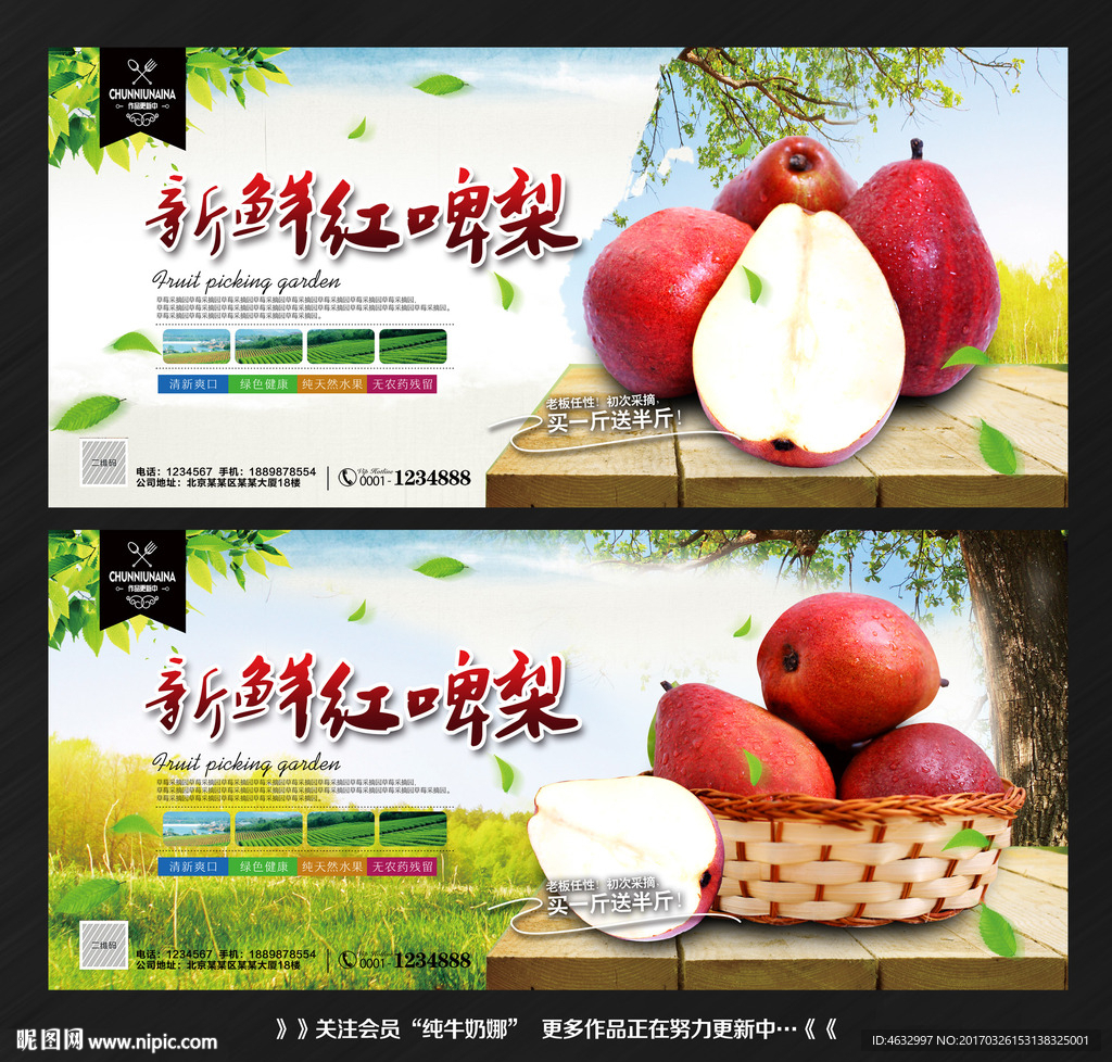 红啤梨