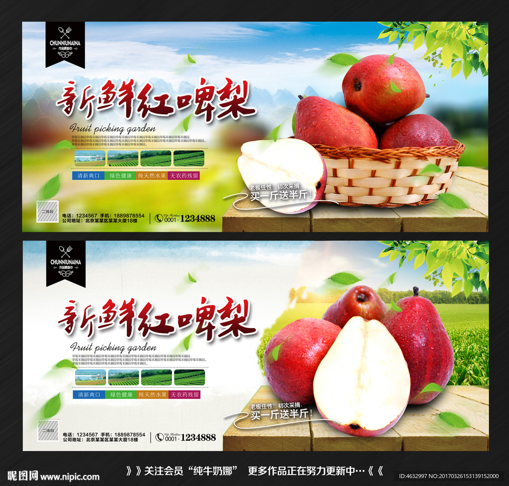 红啤梨