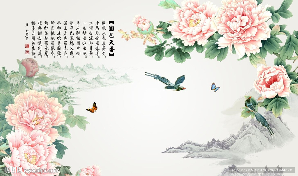 国色天香牡丹花