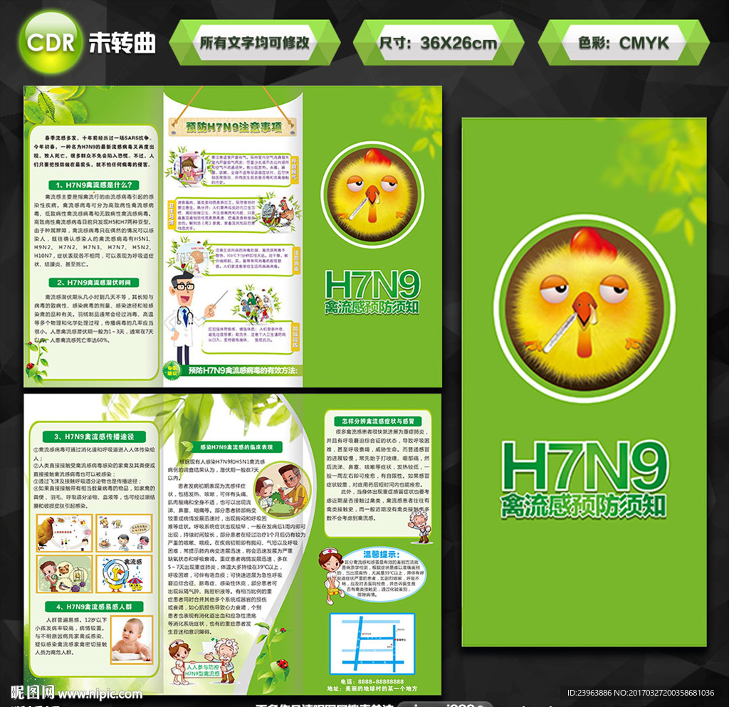 预防禽流感三折页