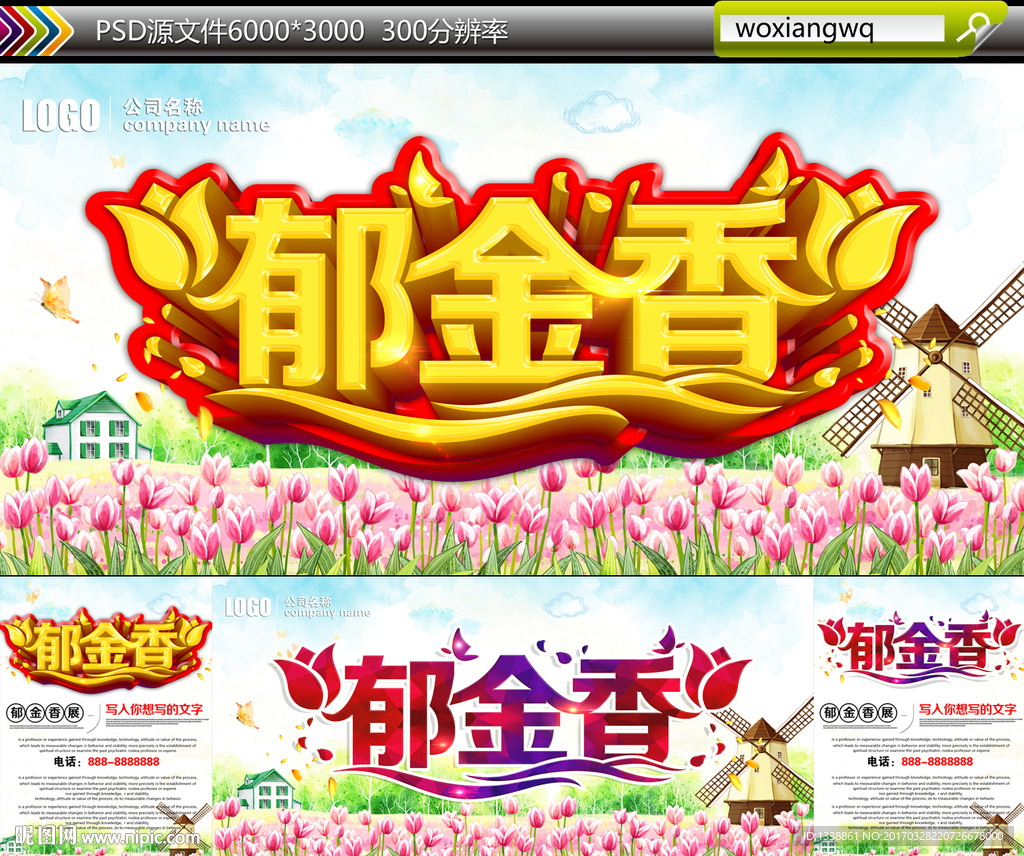 郁金香