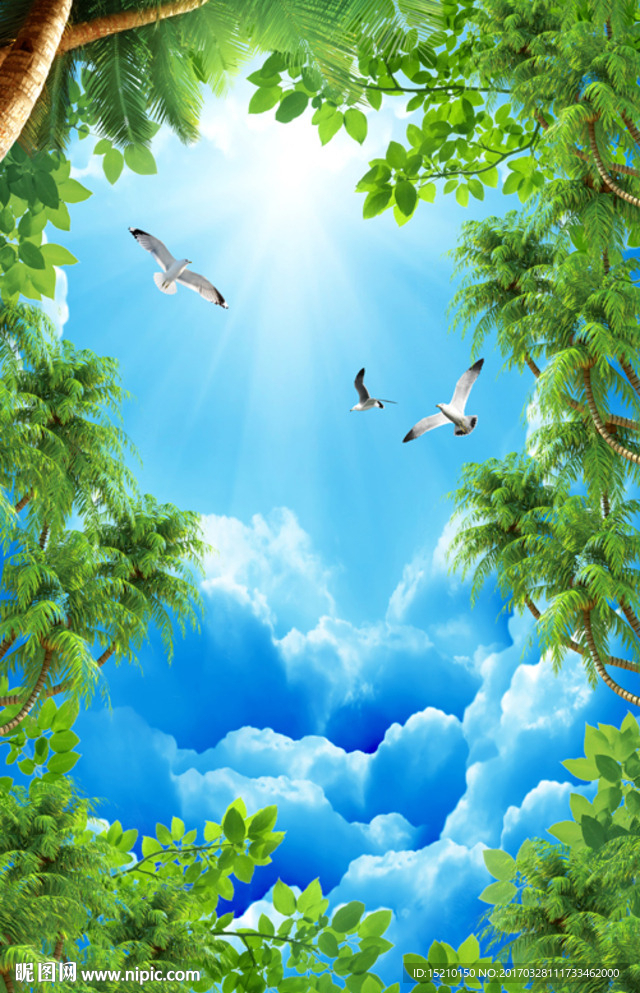 蓝天白云椰子树