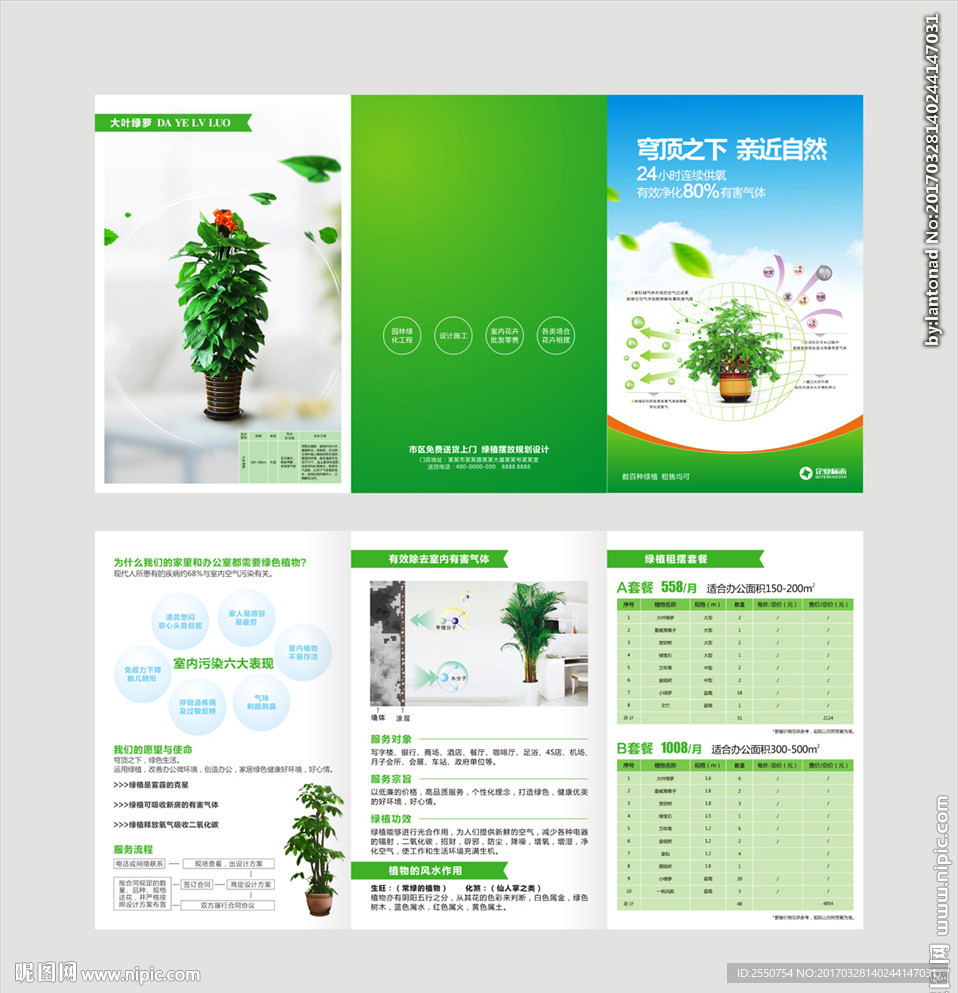 绿植花卉  花店三折页