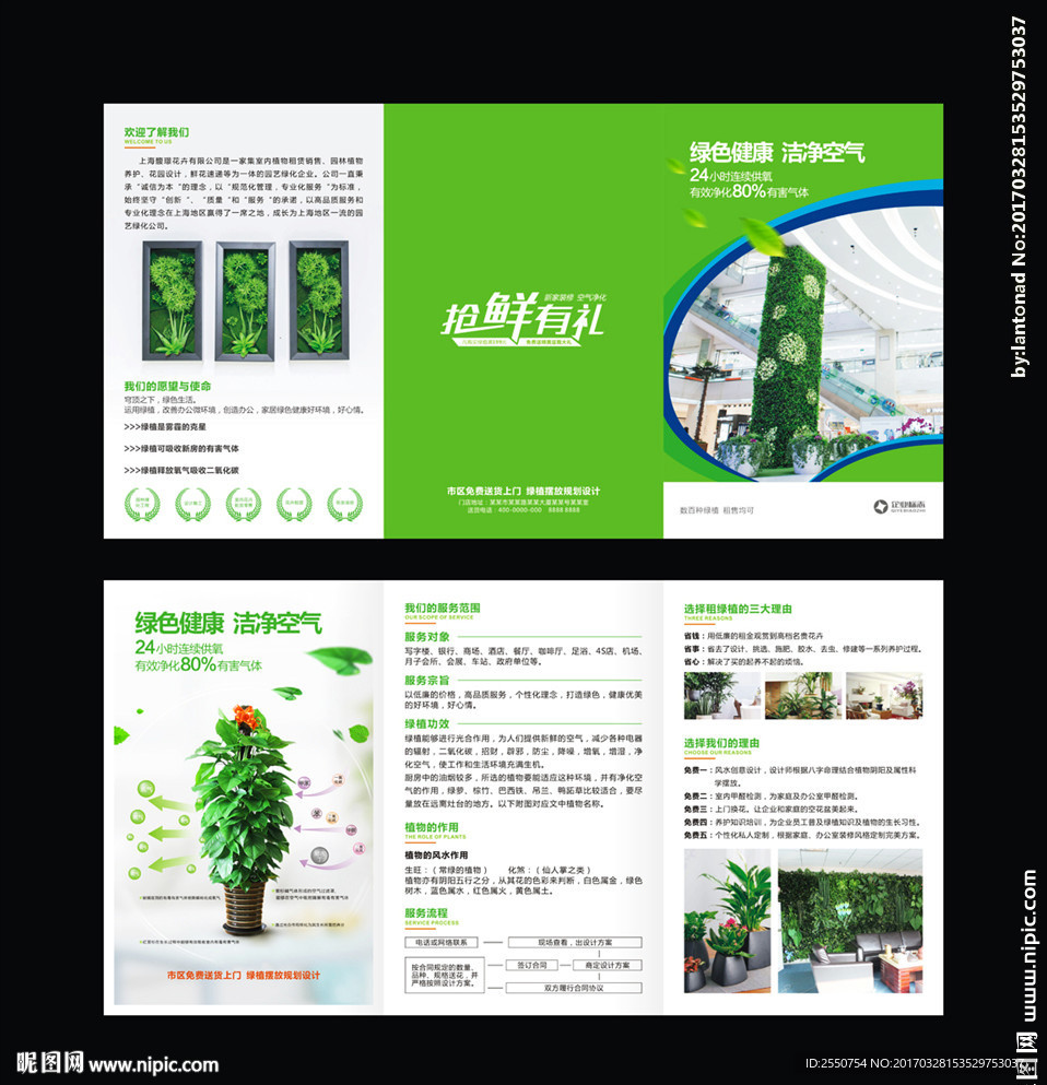 绿植花卉三折页