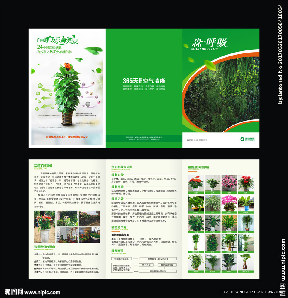 绿植三折页  花店广告